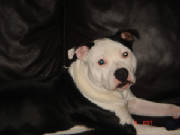dsc00964.jpg