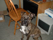 dscf0004.jpg